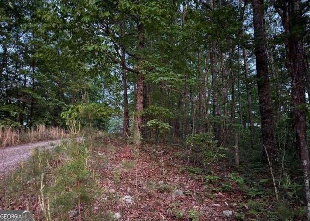 562 Neptune Circle NE, Ranger, GA 30734