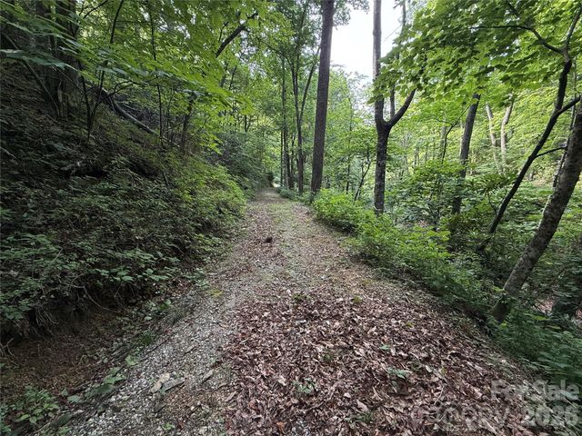 64 Clay View Drive, Fairview, NC 28730