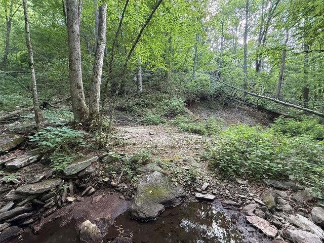 64 Clay View Drive, Fairview, NC 28730