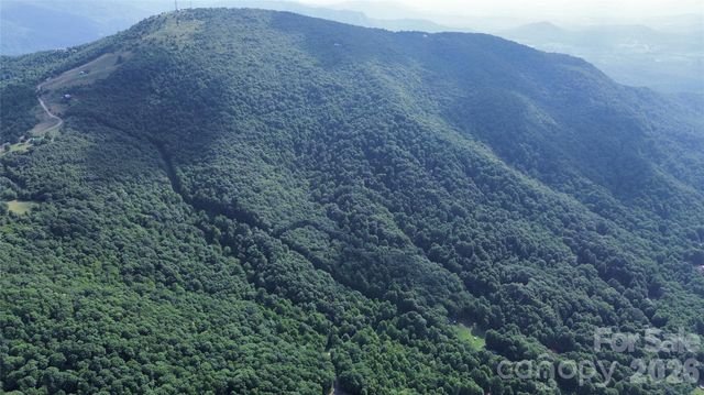 64 Clay View Drive, Fairview, NC 28730