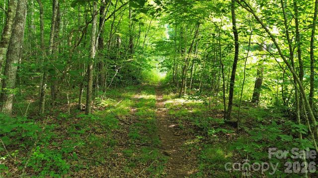 64 Clay View Drive, Fairview, NC 28730
