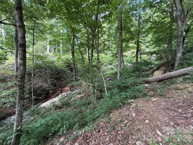 64 Clay View Drive, Fairview, NC 28730