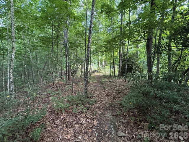 64 Clay View Drive, Fairview, NC 28730