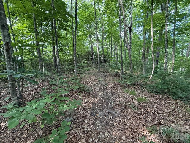64 Clay View Drive, Fairview, NC 28730