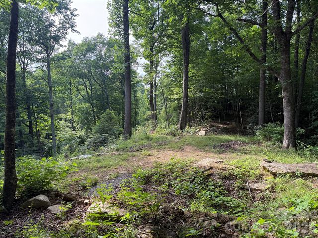 64 Clay View Drive, Fairview, NC 28730