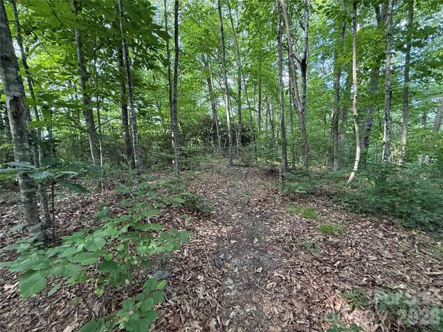 64 Clay View Drive, Fairview, NC 28730