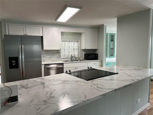 24007 RIVER ROAD, Astor, FL 32102