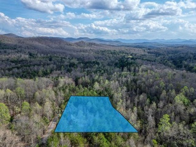 315 Hidden Branch Drive, Young Harris, GA 30582