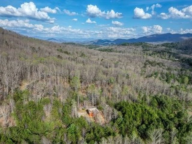 315 Hidden Branch Drive, Young Harris, GA 30582