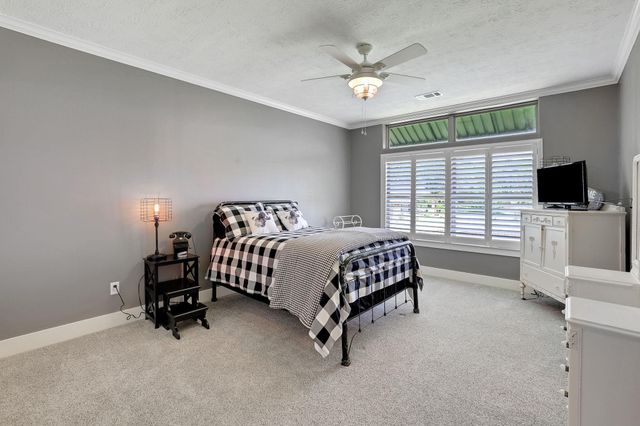 231 Ridge Cove Lane, Coldspring, TX 77331