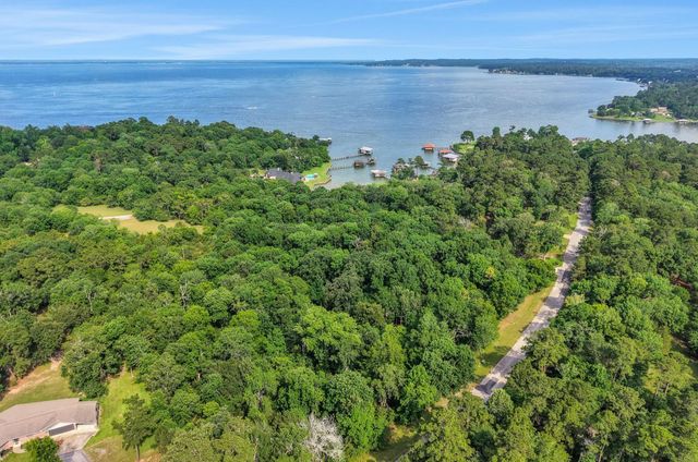 231 Ridge Cove Lane, Coldspring, TX 77331