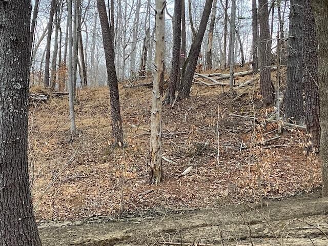 Lot 39 Lakewatch CIR, Moneta, VA 24121