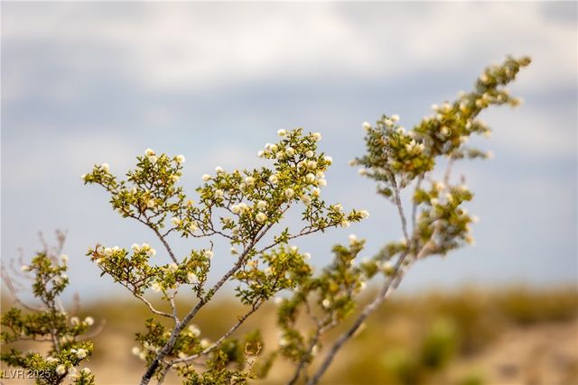 Rantool Street, Las Vegas, NV 89166