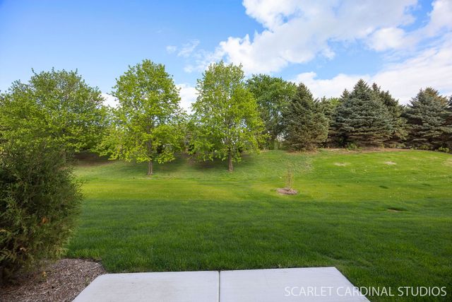 8490 Cornelia Lane, Woodridge, IL 60517