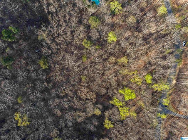 280 STONEGATE DRIVE, Birmingham, AL 35242