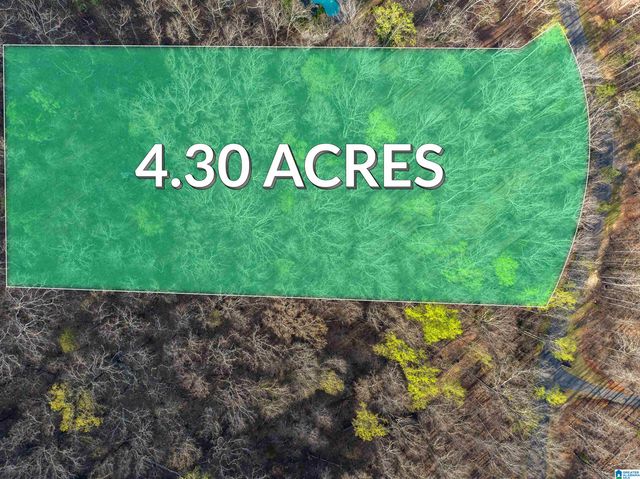 280 STONEGATE DRIVE, Birmingham, AL 35242