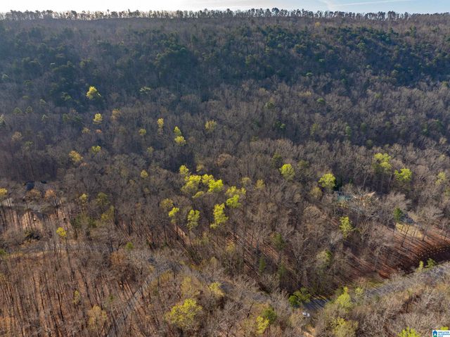 280 STONEGATE DRIVE, Birmingham, AL 35242