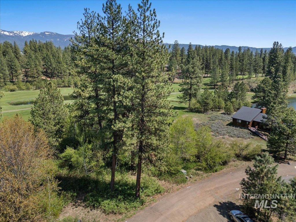 L5 Ponderosa Court, New Meadows, ID 83654