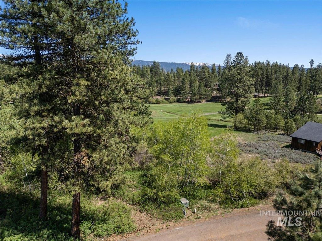 L5 Ponderosa Court, New Meadows, ID 83654 photo 11