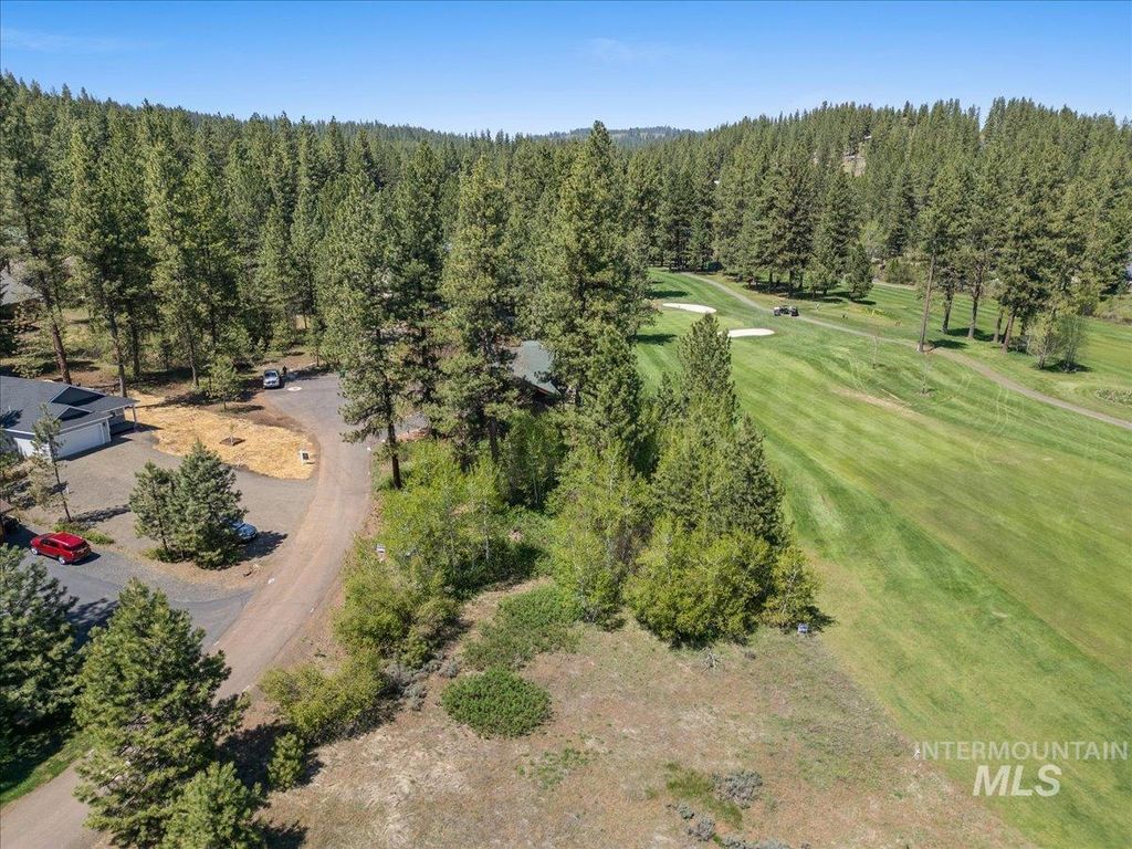 L5 Ponderosa Court, New Meadows, ID 83654 photo 16