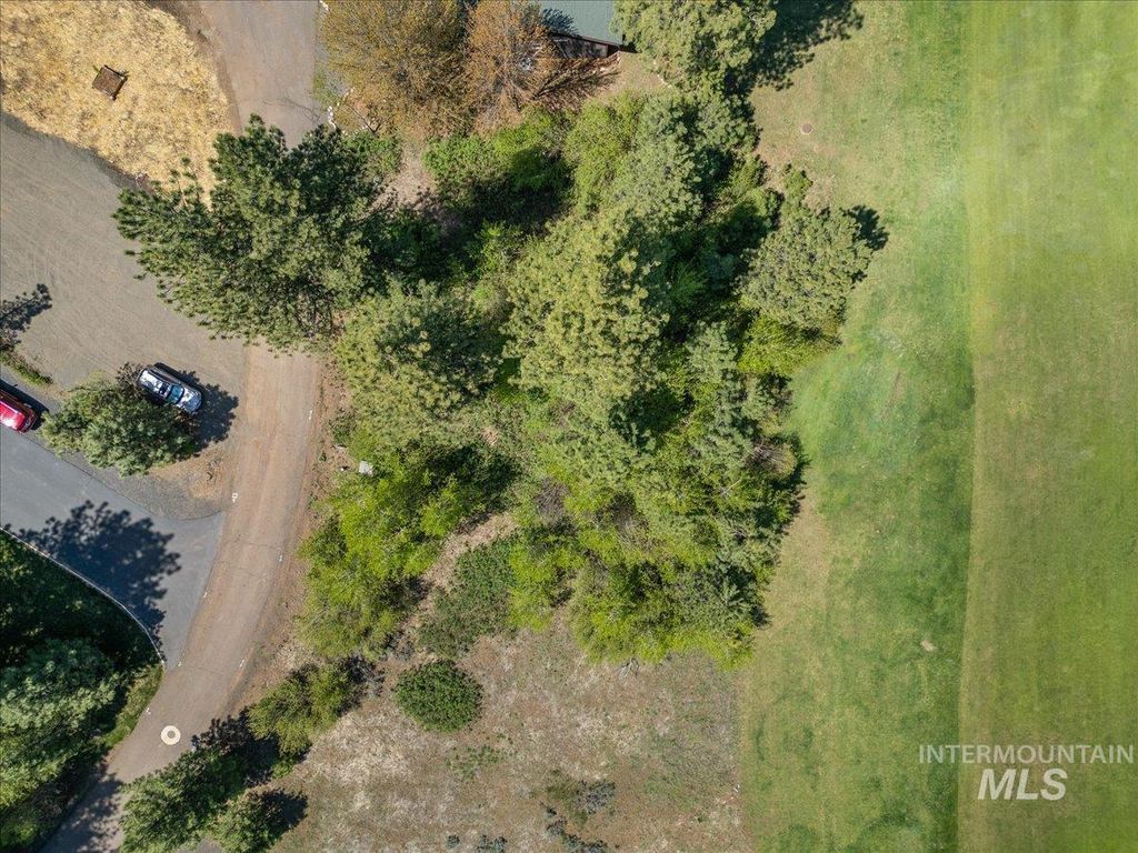 L5 Ponderosa Court, New Meadows, ID 83654 photo 2