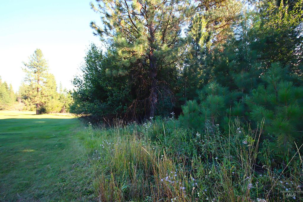 L5 Ponderosa Court, New Meadows, ID 83654 photo 22