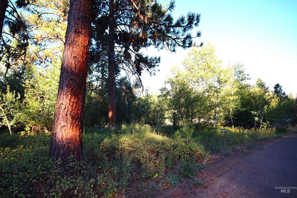 L5 Ponderosa Court, New Meadows, ID 83654 photo 23