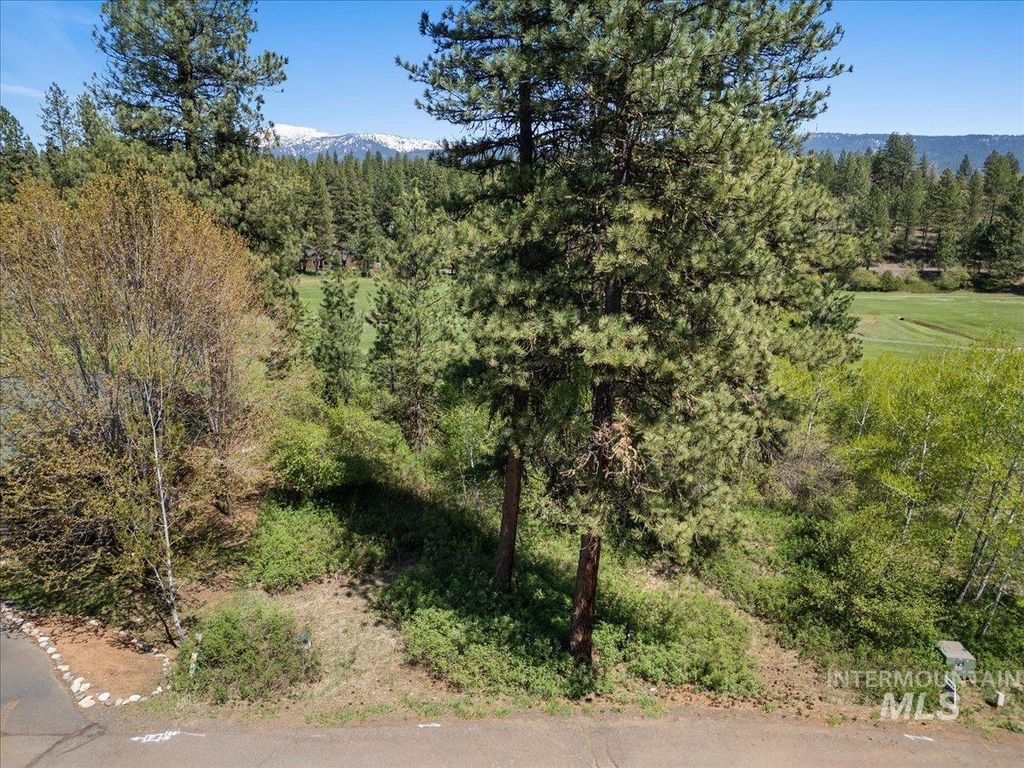 L5 Ponderosa Court, New Meadows, ID 83654 photo 3