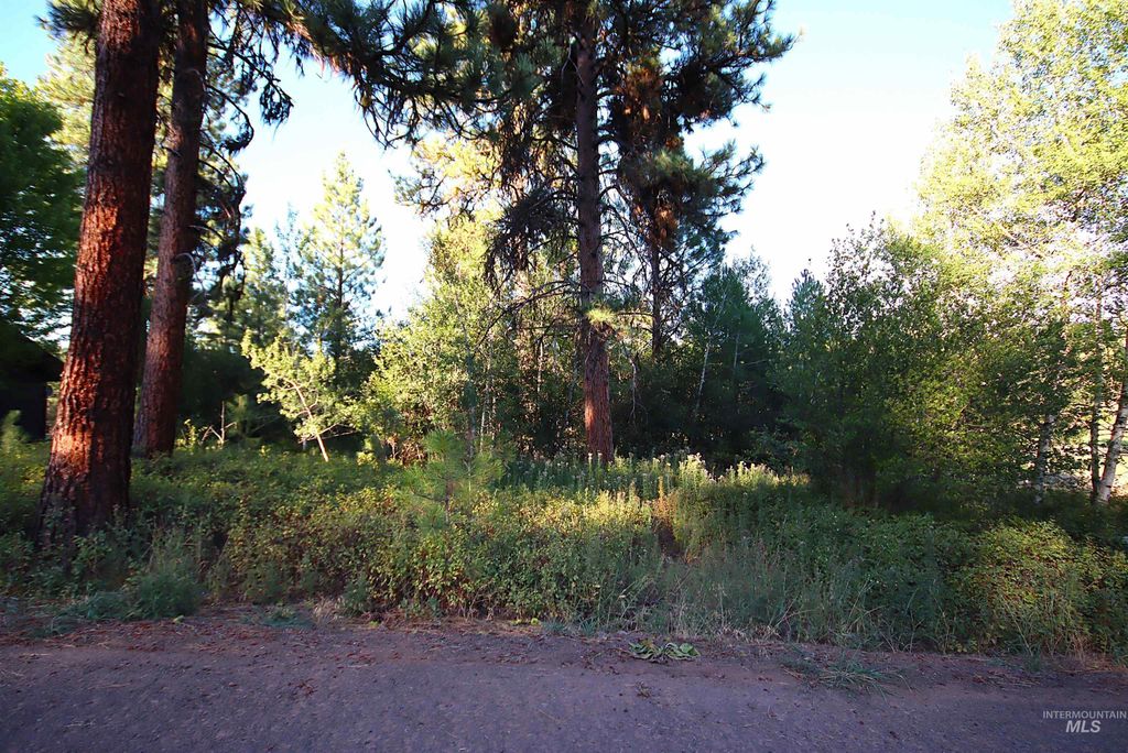 L5 Ponderosa Court, New Meadows, ID 83654 photo 7