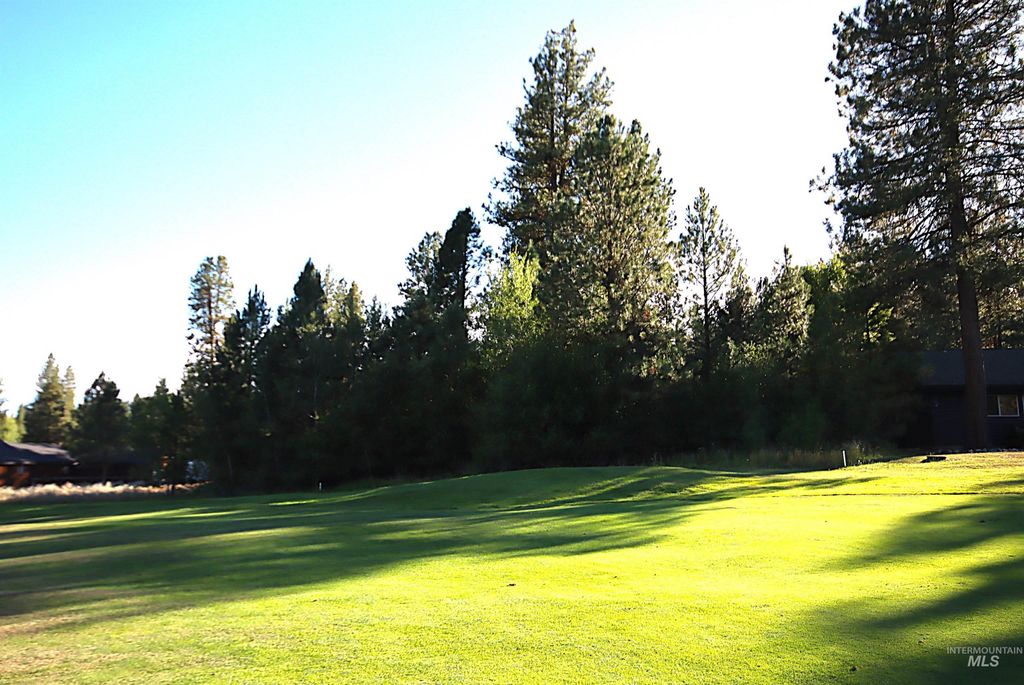 L5 Ponderosa Court, New Meadows, ID 83654 photo 9
