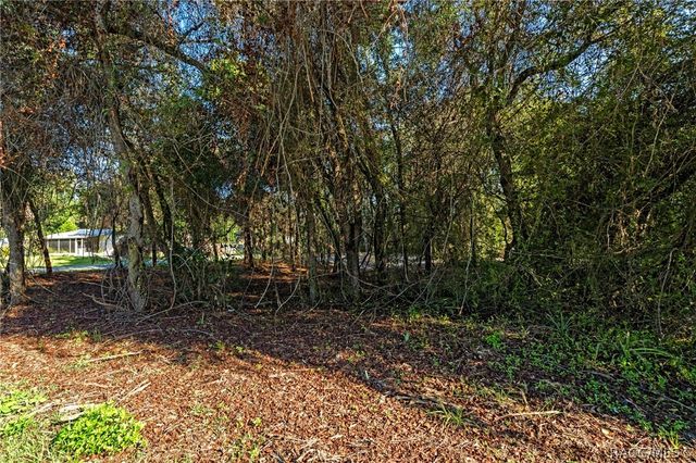 8181 W Tracy Court, Homosassa, FL 34448