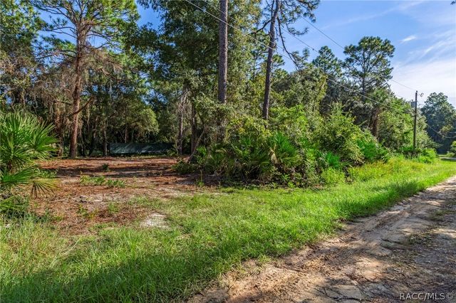 8181 W Tracy Court, Homosassa, FL 34448