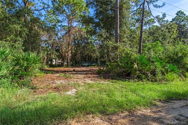 8181 W Tracy Court, Homosassa, FL 34448