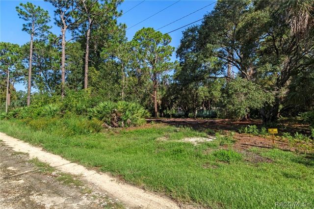 8181 W Tracy Court, Homosassa, FL 34448