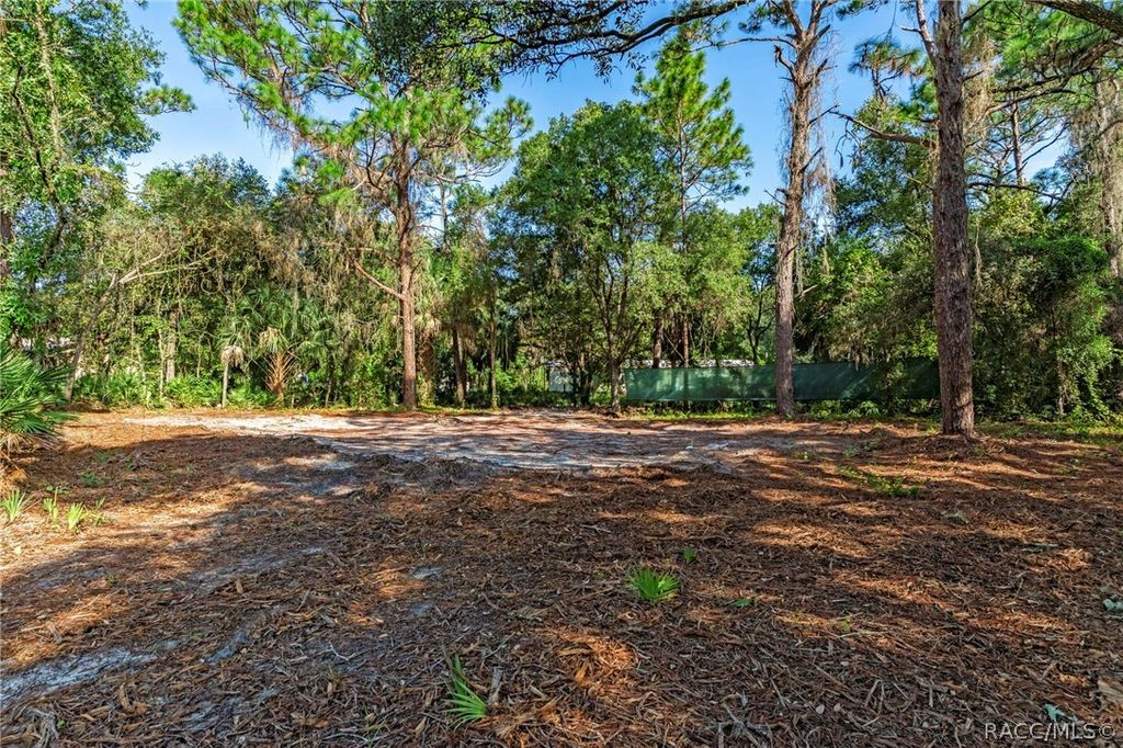 8181 W Tracy Court, Homosassa, FL 34448