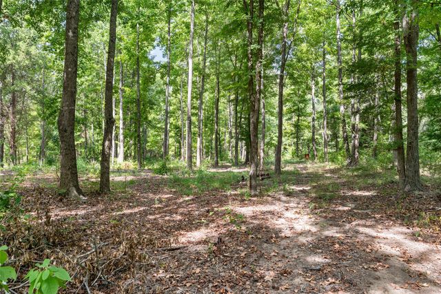 3374 Fm 1652, Grand Saline, TX 75140
