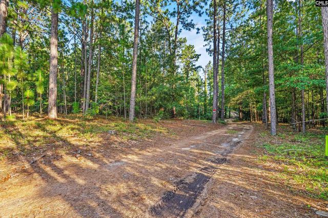 4350 Leesburg Road, Hopkins, SC 29061