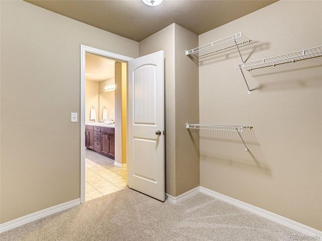 6921 New Meadow Drive, Colorado Springs, CO 80923
