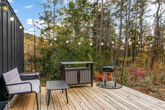 115 Raleigh Ridge Drive, Blue Ridge, GA 30513