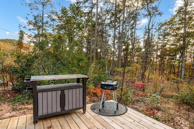 115 Raleigh Ridge Drive, Blue Ridge, GA 30513