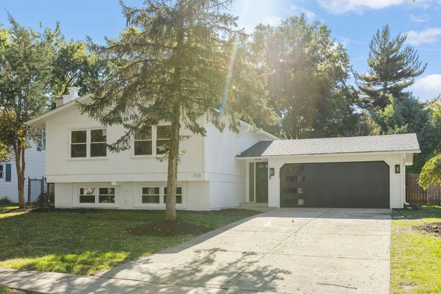 713 Ridgeview Street, Downers Grove, IL 60516