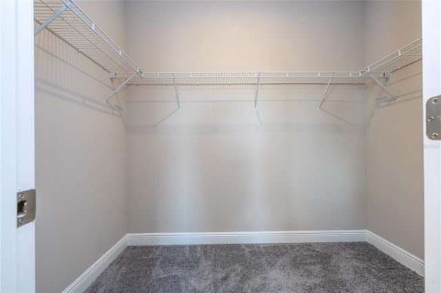 16350 HAMLIN VIEW STREET, Winter Garden, FL 34787