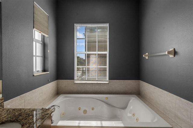 2419 VICTORIA GARDENS LANE, Tampa, FL 33609