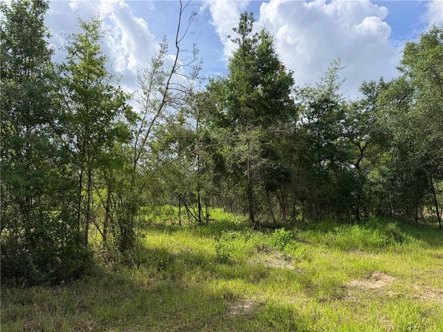0 Sandy Creek Lane, Mobile, AL 36695