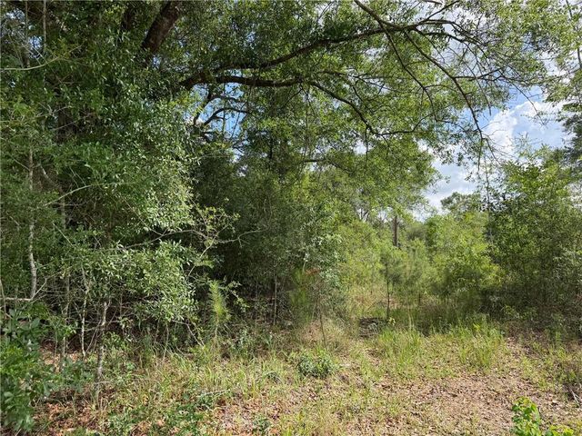 0 Sandy Creek Lane, Mobile, AL 36695