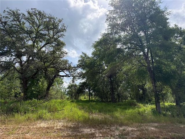 0 Sandy Creek Lane, Mobile, AL 36695