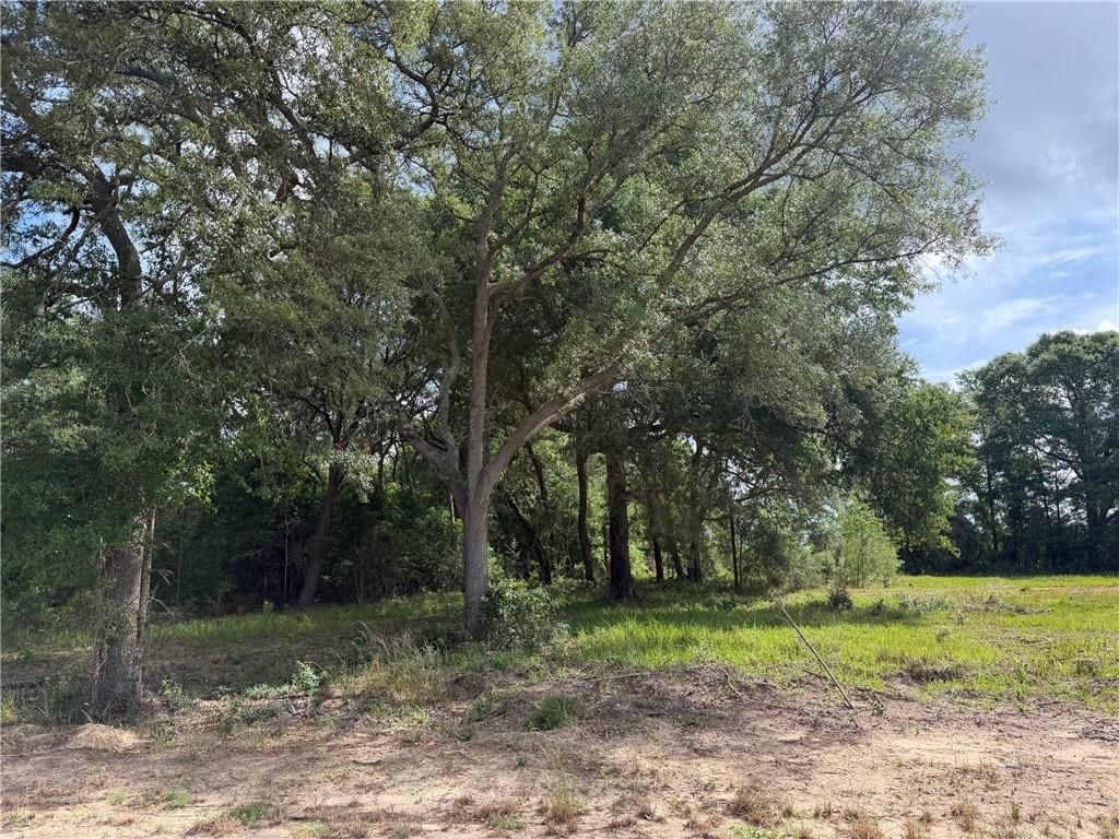 0 Sandy Creek Lane, Mobile, AL 36695 — photo 2