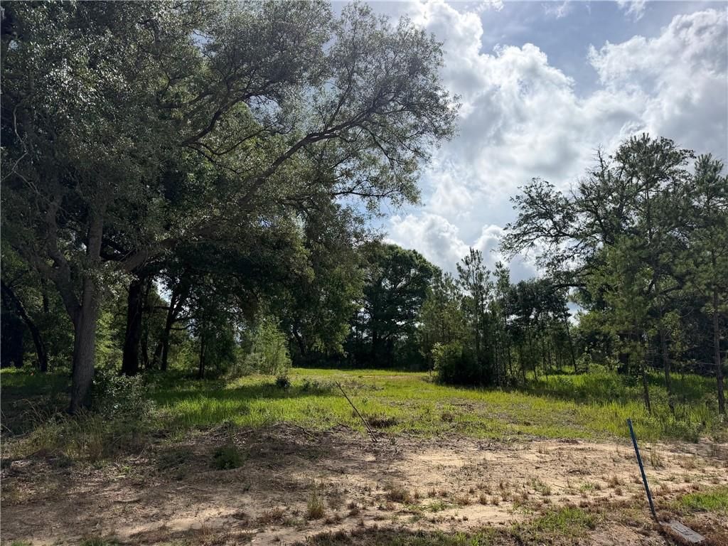 0 Sandy Creek Lane, Mobile, AL 36695 — photo 3