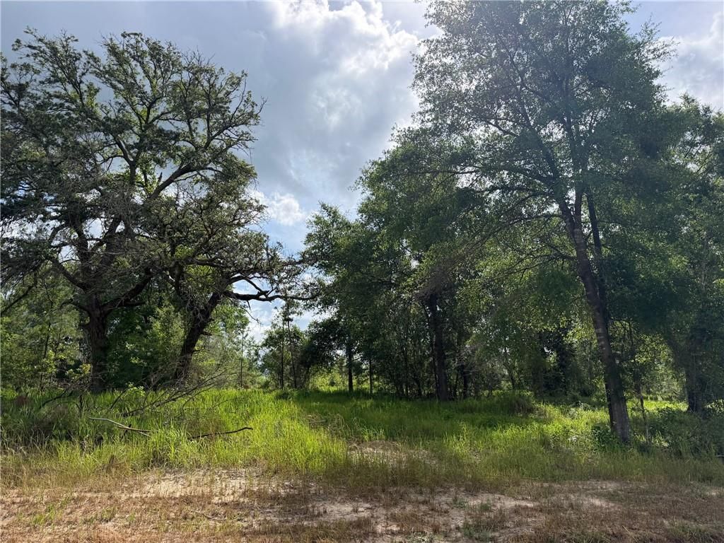 0 Sandy Creek Lane, Mobile, AL 36695 — photo 4