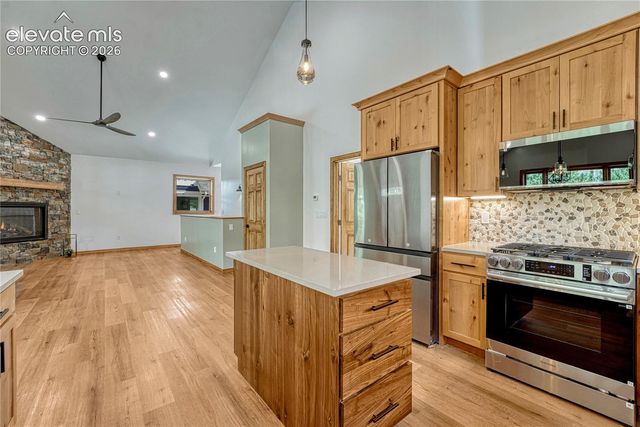 1114 Griffith Street, Georgetown, CO 80444